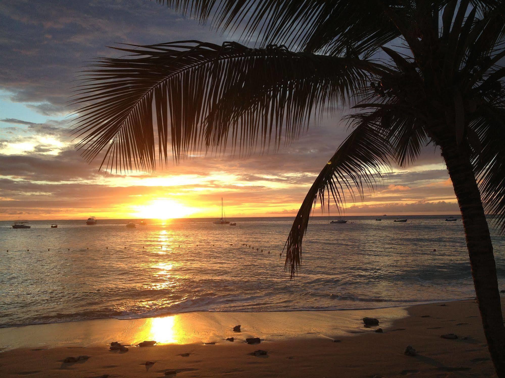 Tropical Sunset 3*
