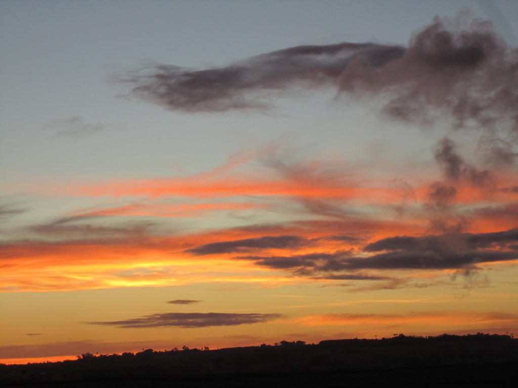 Tropical Sunset 3*